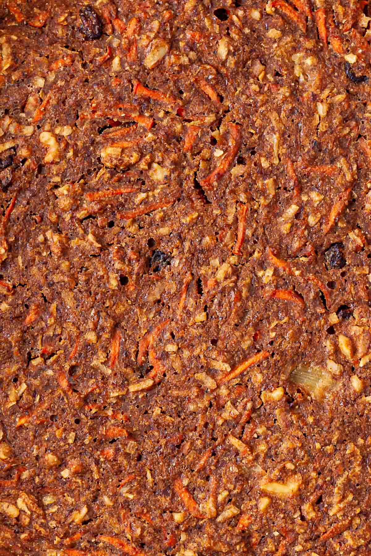 Close up of unfrosted oat flour carrot cake to show texture of baked-in carrots, raisins, walnuts, coconut shreds, and pineapple.
