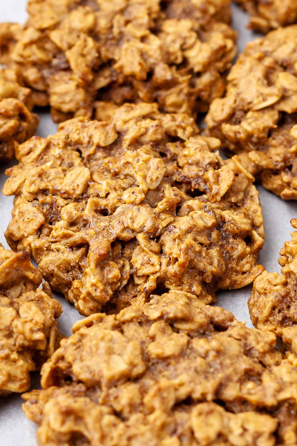 Close up view of freshly baked vegan peanut butter oatmeal cookies on a baking sheet.